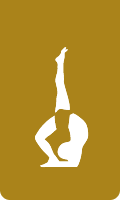 iyengar yoga rahasya firenze card